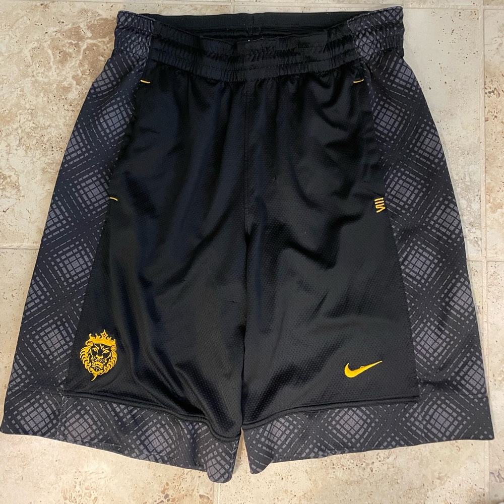 Nike Lebron shorts size large